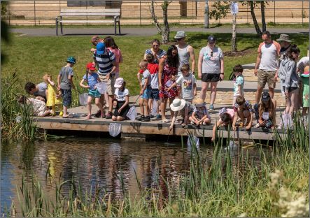 community activity by pond